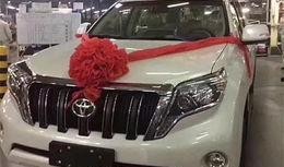 国产普拉多最新爆料图片