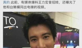 王力宏最新爆料视频大全,揭秘不为人知的幕后故事