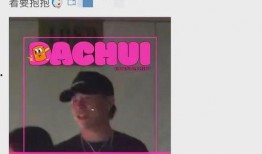 刘大锤爆料真假视频播放,真假视频播放，真相究竟如何？