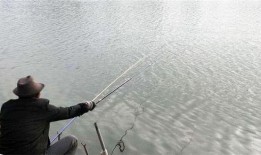 中国钓鱼人爆料事件视频,揭秘中国水域神秘事件视频真相